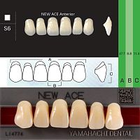 Зубы NEW ACE Anterior, цвет C2, фасон S6 акриловые двухслойные, 6 шт.