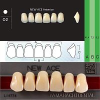 Зубы NEW ACE Anterior, цвет D2, фасон O2 акриловые двухслойные, 6 шт.