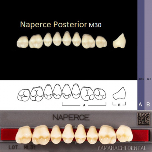 Зубы NAPERCE Posterior, цвет A3.5, фасон М30, акриловые двухслойные, 8 шт.