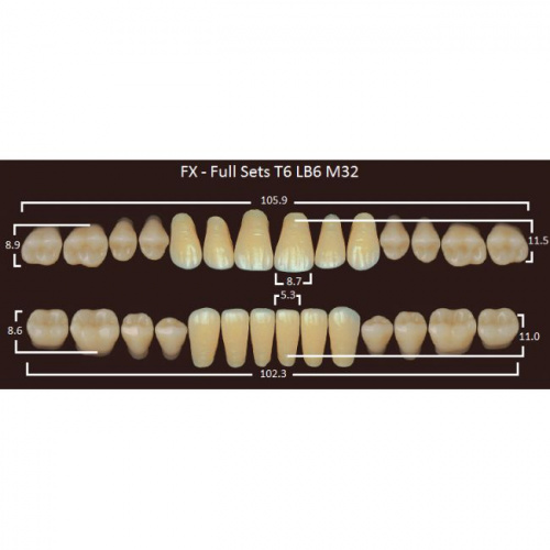 FX зубы акриловые двухслойные, полный гарнитур (28 шт.) на планке, D3, T6/LB6/M32