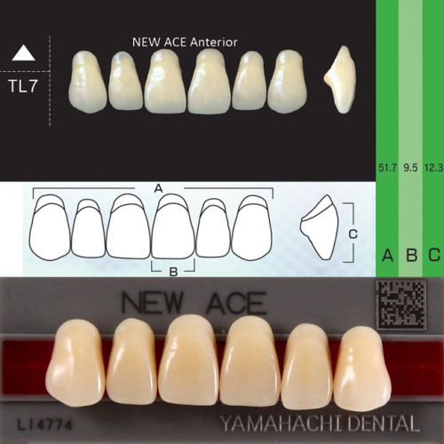 Зубы NEW ACE Anterior, цвет B1, фасон TL7 акриловые двухслойные, 6 шт.