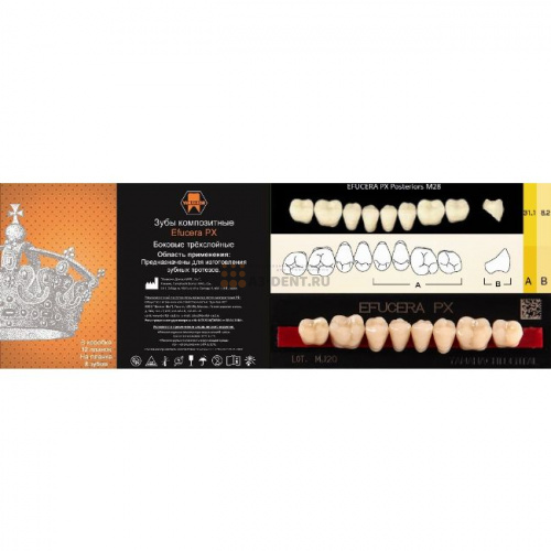 Зубы EFUCERA PX Posteriors, цвет C2, фасон 28, композитные трехслойные боковые нижние, 8 штук на планке.