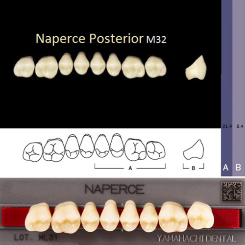 Зубы NAPERCE Posterior, цвет B4, фасон М32 акриловые двухслойные, 8 шт.