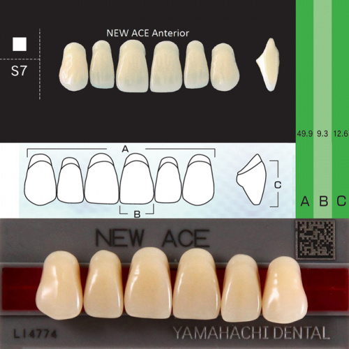 Зубы NEW ACE Anterior, цвет D3, фасон S7 акриловые двухслойные, 6 шт.