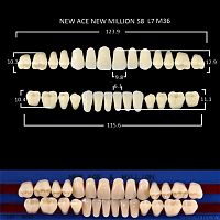 Зубы NEW ACE/NEW MILLION, цвет C3, фасон S8/L7/M36, полный гарнитур, 28шт.