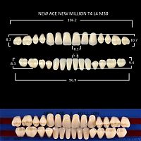 Зубы NEW ACE/NEW MILLION, цвет C2, фасон T4/L4/M30, полный гарнитур, 28шт.