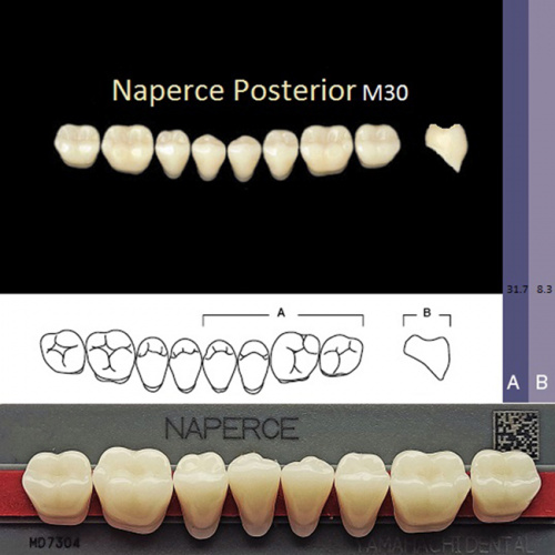 Зубы NAPERCE Posterior, цвет B4, фасон М30 акриловые двухслойные, 8 шт.