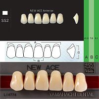 Зубы NEW ACE Anterior, цвет B3, фасон SS2 акриловые двухслойные, 6 шт.