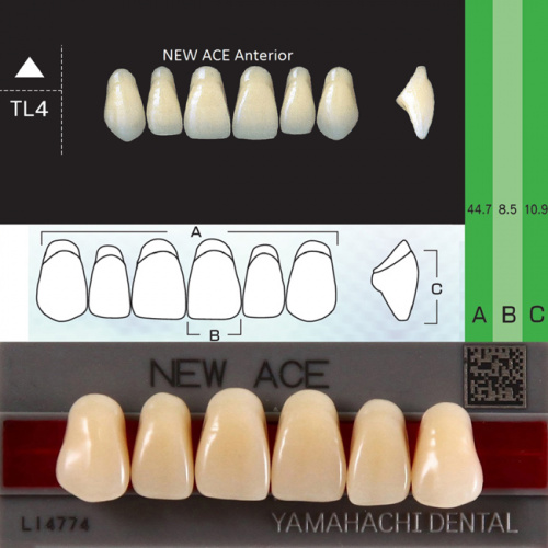 Зубы NEW ACE Anterior, цвет C1, фасон TL4 акриловые двухслойные, 6 шт.