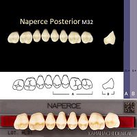 Зубы NAPERCE Posterior, цвет A3, фасон М32, акриловые двухслойные, 8 шт.