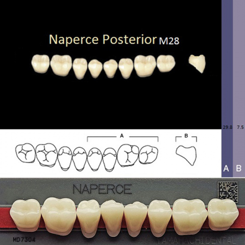 Зубы NAPERCE Posterior, цвет B3, фасон М28 акриловые двухслойные, 8 шт.