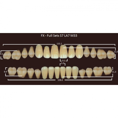 FX зубы акриловые двухслойные, полный гарнитур (28 шт.) на планке, A3, S7/LA7/M33