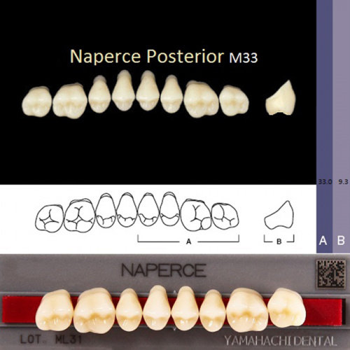 Зубы NAPERCE Posterior, цвет W05, фасон М33 акриловые двухслойные, 8 шт.