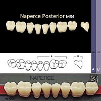 Зубы NAPERCE Posterior, цвет A3,5, фасон М34 акриловые двухслойные, 8 шт.