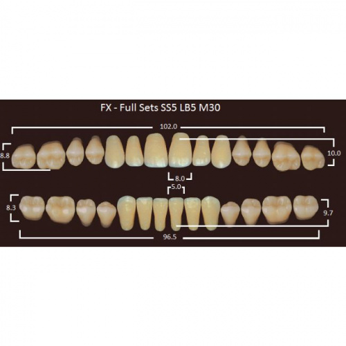 FX зубы акриловые двухслойные, полный гарнитур (28 шт.) на планке, A3.5, SS5/LB5/M30