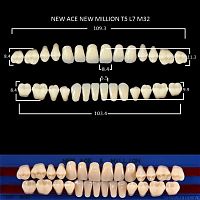 Зубы NEW ACE/NEW MILLION, цвет C1, фасон T5/L7/M32, полный гарнитур, 28шт.