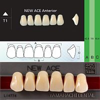 Зубы NEW ACE Anterior, цвет A2, фасон T1 акриловые двухслойные, 6 шт.