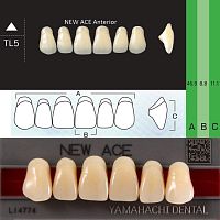 Зубы NEW ACE Anterior, цвет B3, фасон TL5 акриловые двухслойные, 6 шт.