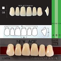 Зубы NEW ACE Anterior, цвет D2, фасон S8 акриловые двухслойные, 6 шт.