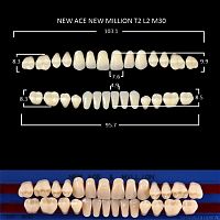 Зубы NEW ACE/NEW MILLION, цвет A1, фасон T2/L2/M30, полный гарнитур, 28шт.