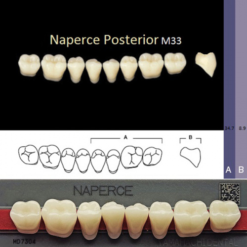 Зубы NAPERCE Posterior, цвет A3,5, фасон М33 акриловые двухслойные, 8 шт.