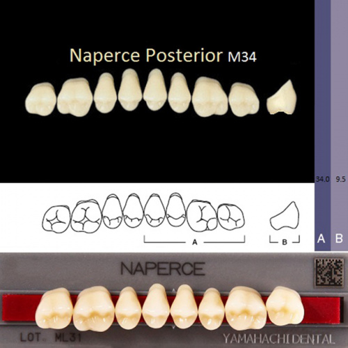 Зубы NAPERCE Posterior, цвет D4, фасон М34 акриловые двухслойные, 8 шт.