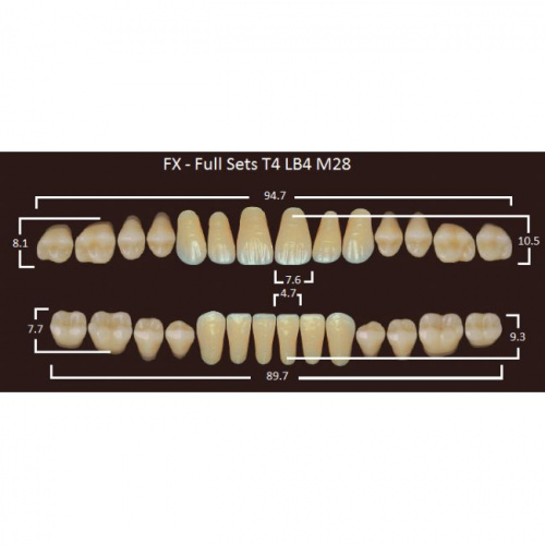 FX зубы акриловые двухслойные, полный гарнитур (28 шт.) на планке, B4, T4/LB4/M28