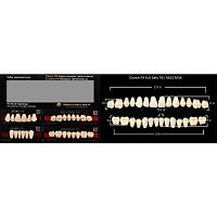 Зубы PX CROWN / EFUCERA, цвет B1, фасон T61/N61S/34, полный гарнитур, 28шт.