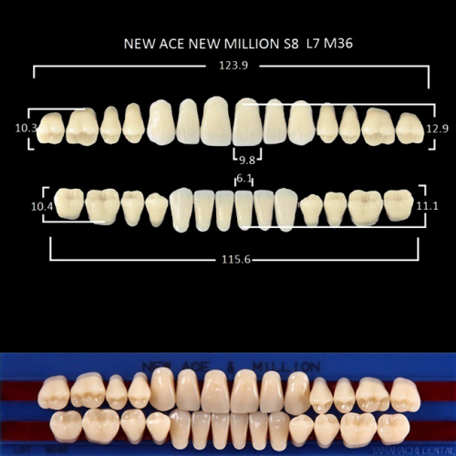 Зубы NEW ACE/NEW MILLION, цвет A1, фасон S8/L7/M36, полный гарнитур, 28шт.