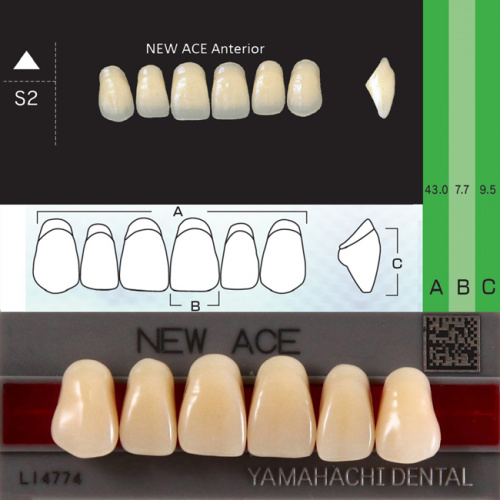 Зубы NEW ACE Anterior, цвет D3, фасон S2 акриловые двухслойные, 6 шт.