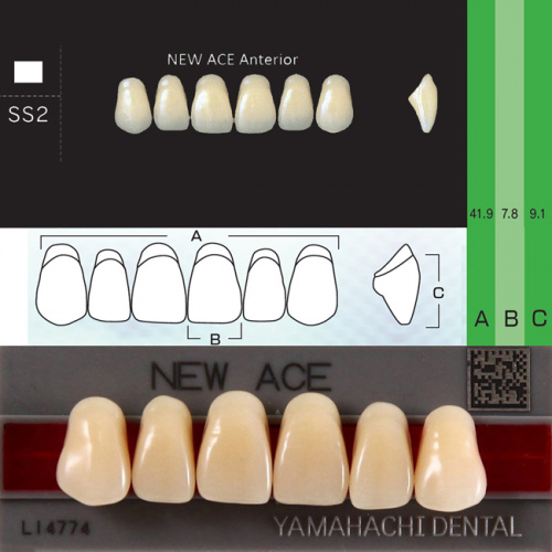 Зубы NEW ACE Anterior, цвет B4, фасон SS2 акриловые двухслойные, 6 шт.