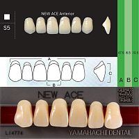 Зубы NEW ACE Anterior, цвет C2, фасон S5 акриловые двухслойные, 6 шт.