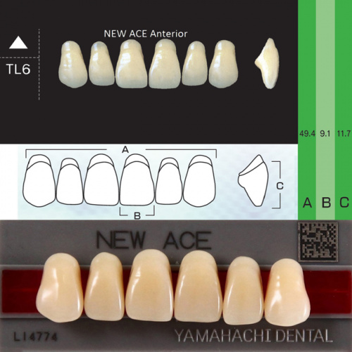 Зубы NEW ACE Anterior, цвет D2, фасон TL6 акриловые двухслойные, 6 шт.