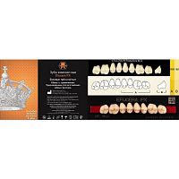 Зубы EFUCERA PX Posteriors, цвет A2, фасон 32, композитные трехслойные боковые верхние, 8 штук на планке.