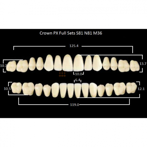 Зубы PX CROWN / EFUCERA, цвет B1, фасон S81/N81/36, полный гарнитур, 28шт. фото 2