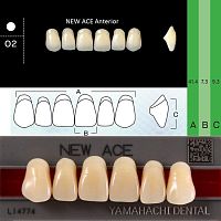 Зубы NEW ACE Anterior, цвет A1, фасон O2 акриловые двухслойные, 6 шт.