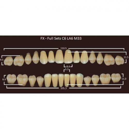FX зубы акриловые двухслойные, полный гарнитур (28 шт.) на планке, B1, C6/LA6/M33