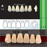 Зубы NEW ACE Anterior, цвет W05, фасон TL6 акриловые двухслойные, 6 шт.