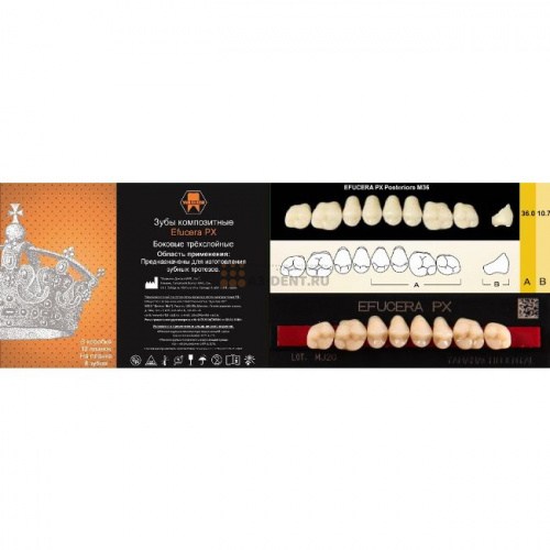 Зубы EFUCERA PX Posteriors, цвет W05, фасон 36, композитные трехслойные боковые верхние, 8 штук на планке.