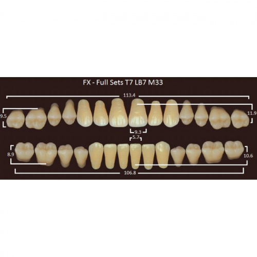 FX зубы акриловые двухслойные, полный гарнитур (28 шт.) на планке, D4, T7/LB7/M33