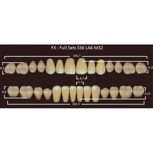 FX зубы акриловые двухслойные, полный гарнитур (28 шт.) на планке, A2, SS6/LA6/M32