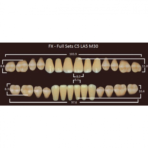 FX зубы акриловые двухслойные, полный гарнитур (28 шт.) на планке, C3, C5/LA5/M30