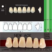 Зубы NEW ACE Anterior, цвет W05, фасон O5 акриловые двухслойные, 6 шт.