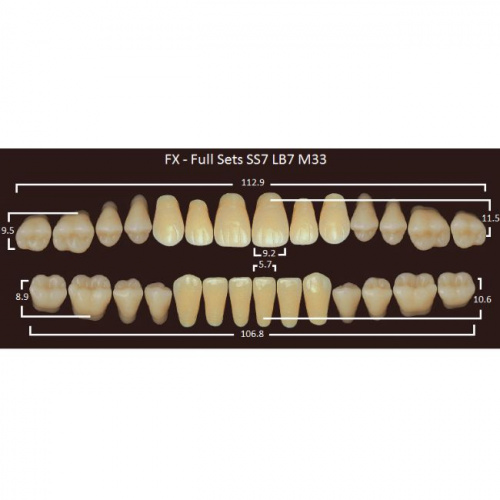 FX зубы акриловые двухслойные, полный гарнитур (28 шт.) на планке, D4, SS7/LB7/M33