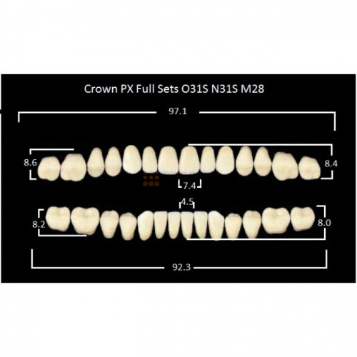 Зубы PX CROWN / EFUCERA, цвет B3, фасон O31S/N31S/28, полный гарнитур, 28шт. фото 2